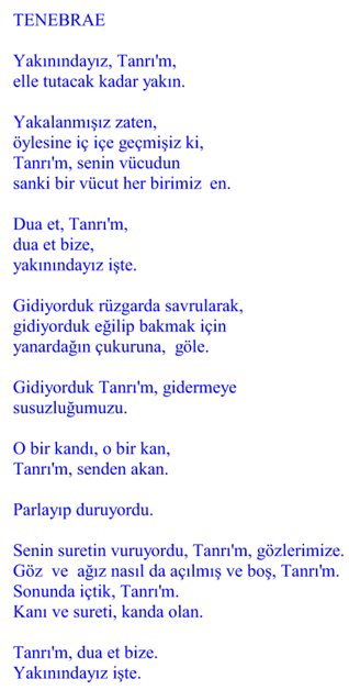 Dich ich gedichte türkisch liebe Liebestexte Türkisch