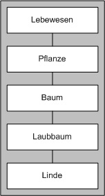 : Beispiel vertikaler Kategorisierungen für Baum. 
