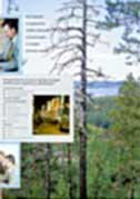 Kulturspezifische Interpretation von Bildinhalten: Waldsterbenoder freie, unberührte Natur