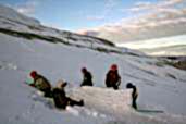 Snowwall